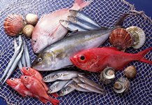 Отравление морепродуктами на отдыхе