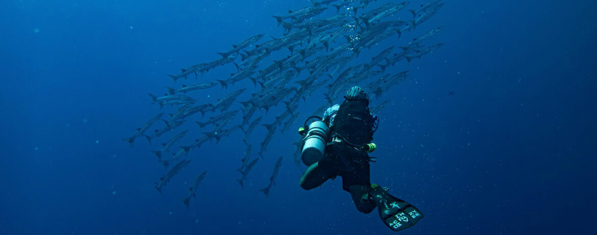 Дайвинг для новичков