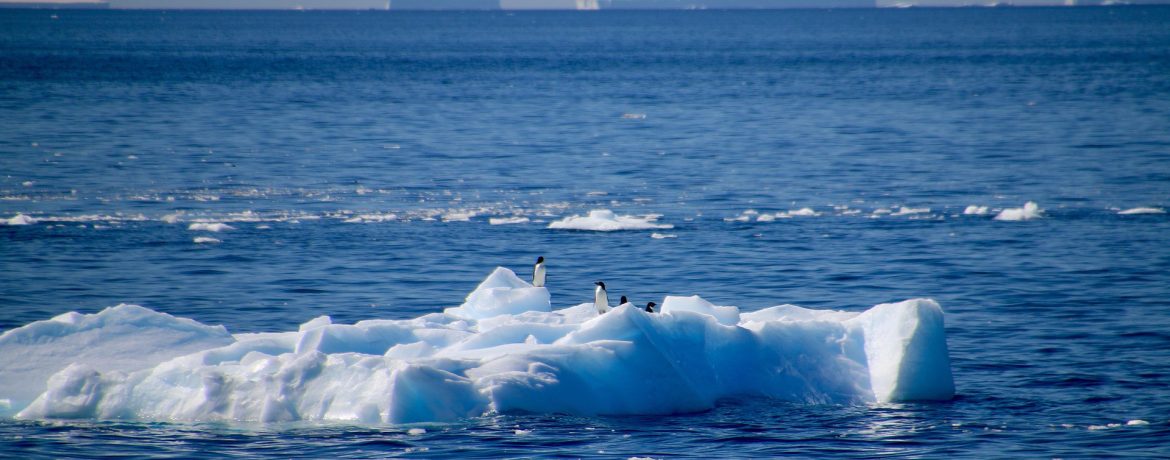   Круиз в Антарктиду